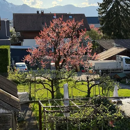 Carmen Alpine View Thun