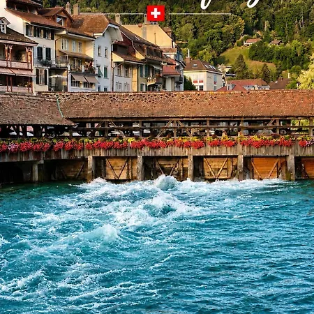 Carmen Alpine View Thun